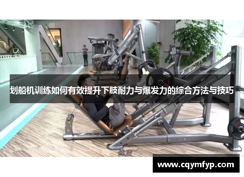 划船机训练如何有效提升下肢耐力与爆发力的综合方法与技巧