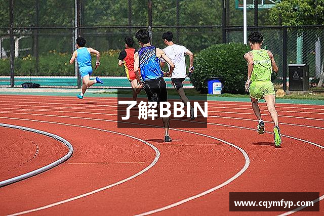 了解BBIN
